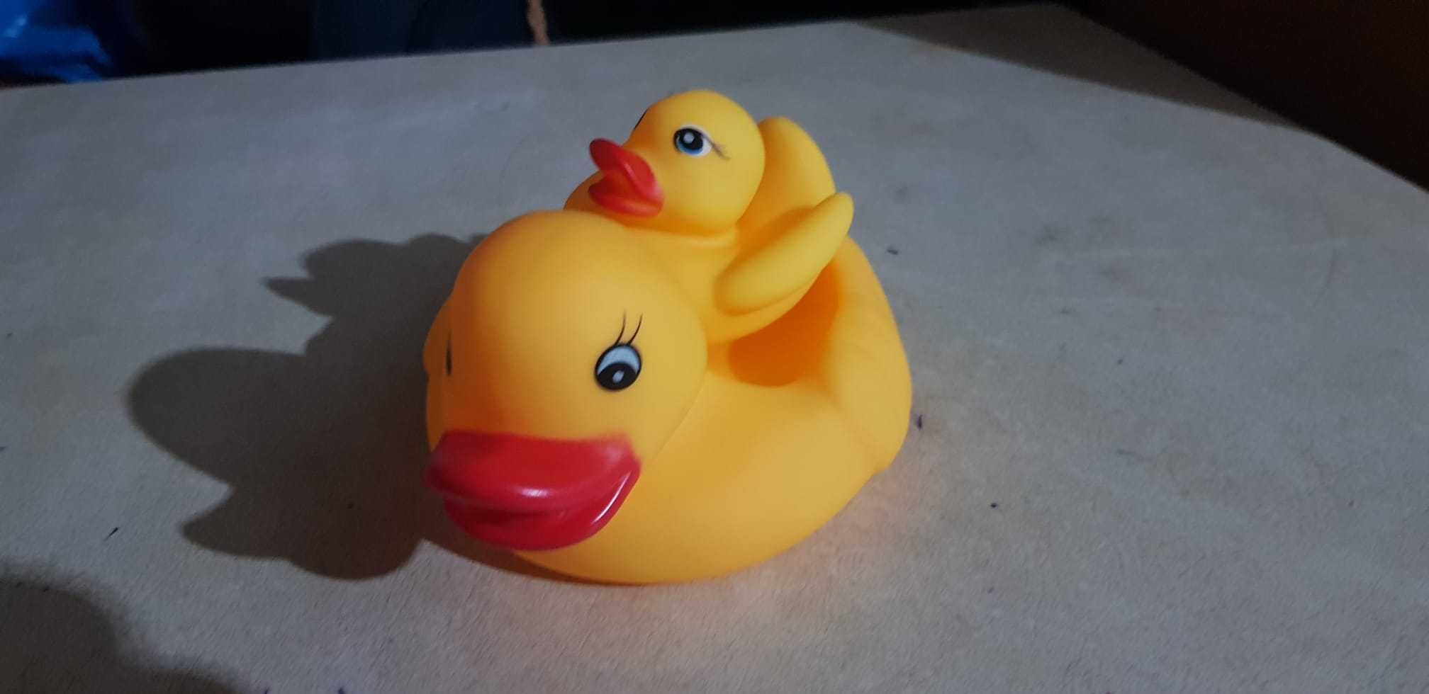 patinhos borrada - novos