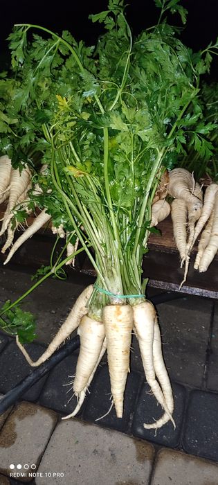 Kapusta szatkowana z własnego gospodarstwa