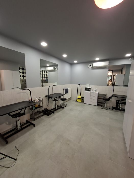 Продаж приміщення, готового бізнесу, під грумінг салон