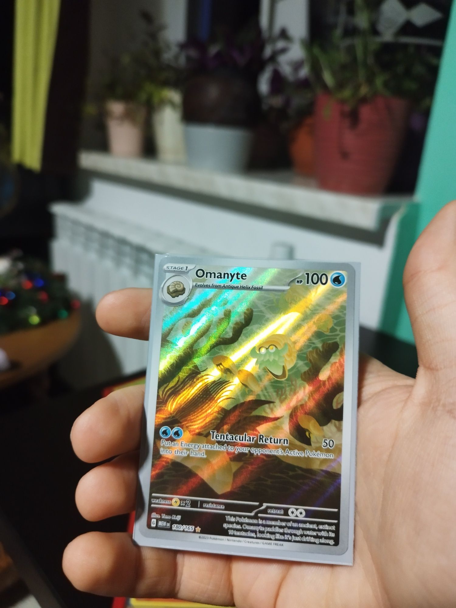 Karty pokemon        .
