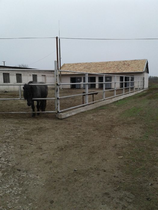 Продам отдельностоящую животноводческую ферму в Криворожском районе