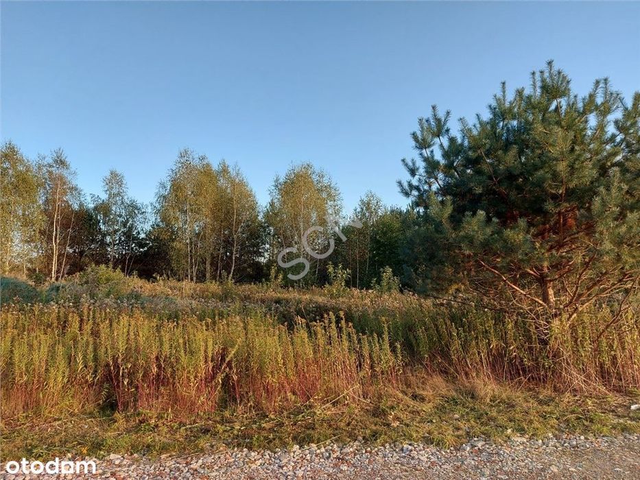 Atrakcyjnie Położona