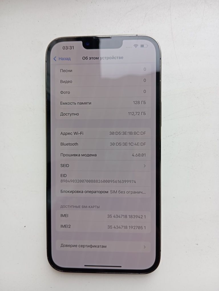 iPhone 13 Pro Max