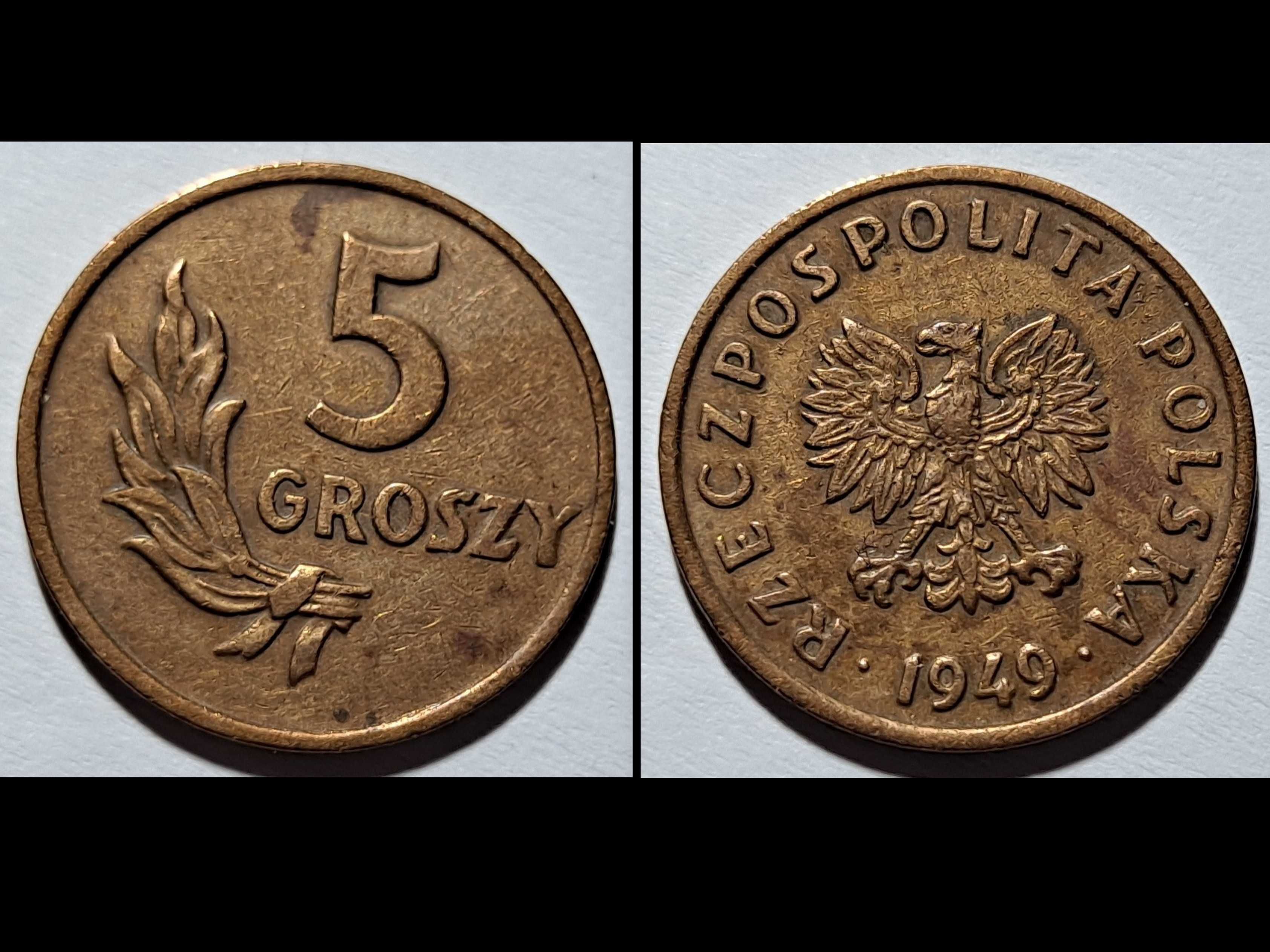 moneta - 5 Groszy  - (Polska)  Rzeczpospolita - 1949 r. - brąz