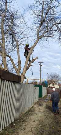 Удаление сложных деревьев