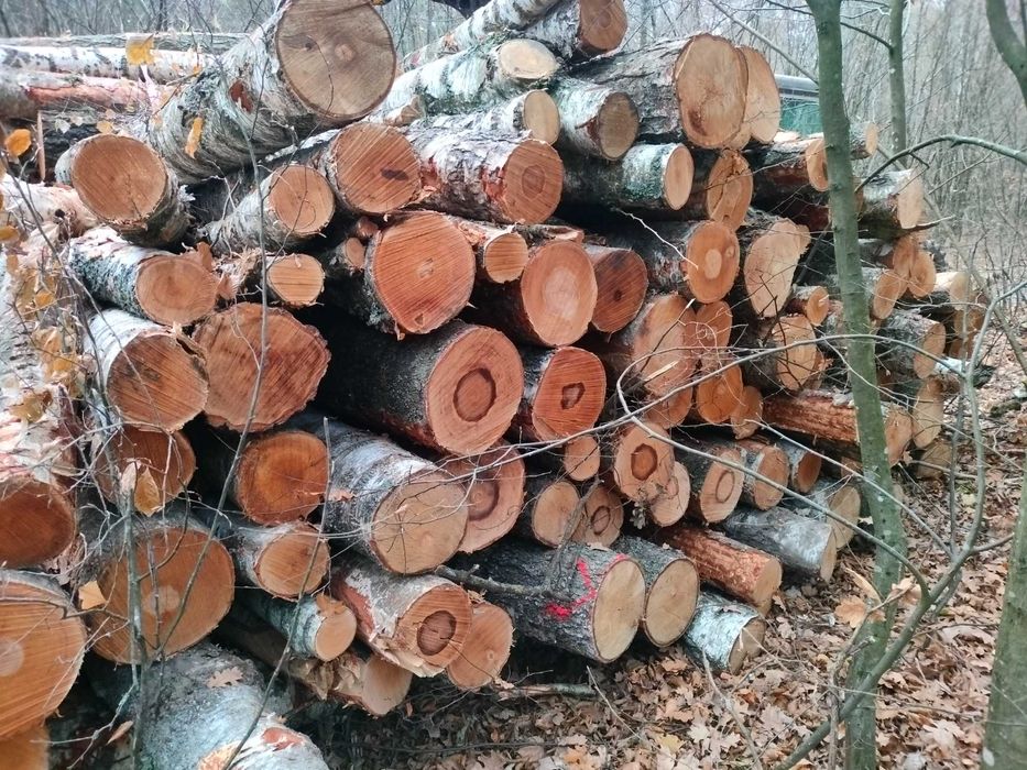 Drewno kominkowe i opałowe