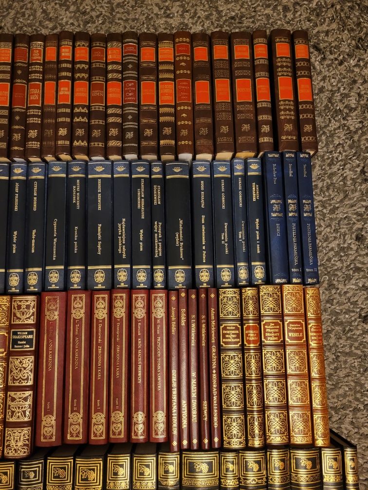 Arcydzieła literatury Polskiej I Światowej Zestaw  116 książek