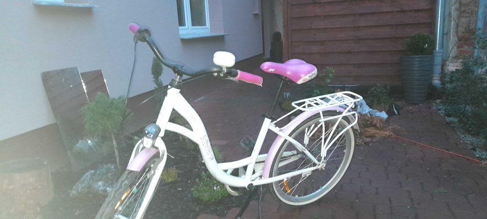 Rower daisy storm 24