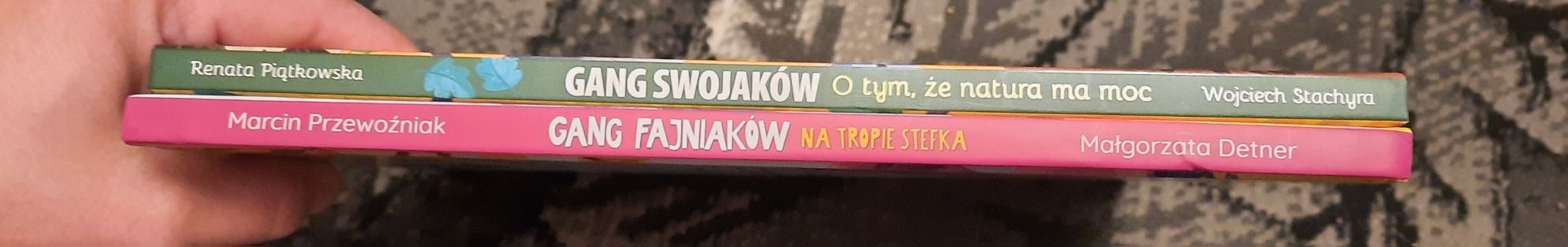 Książka dla dzieci Gang fajniaków , Gang Swojaków