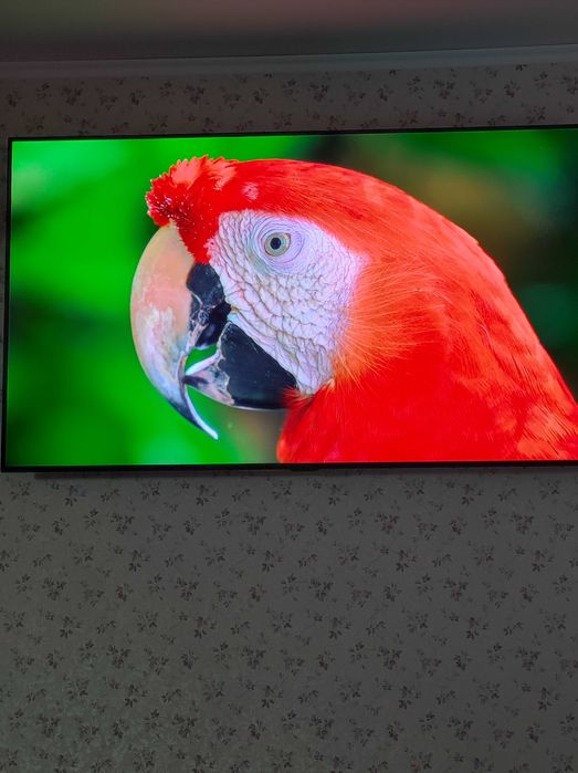 Продам свій LG OLED55C8