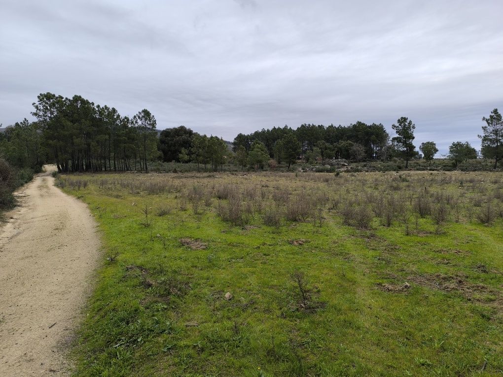 Terreno  com 6750 m2 em Catrão, Vale de Prazeres, Fundão.