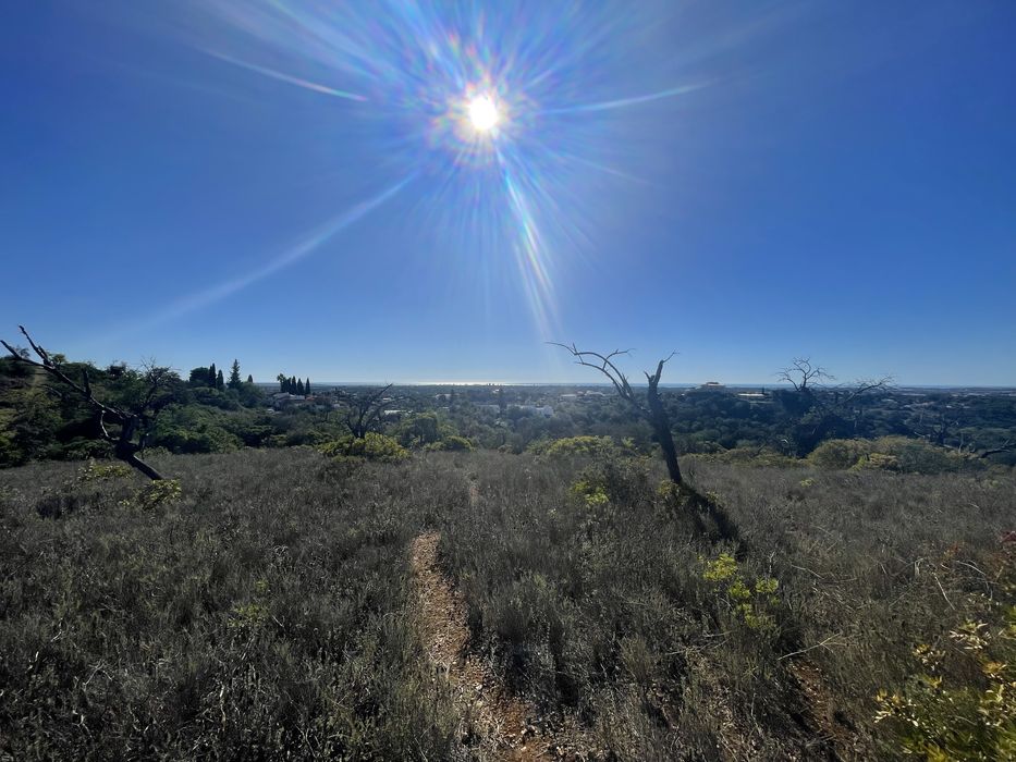 Terreno Rustico Vale Judeu