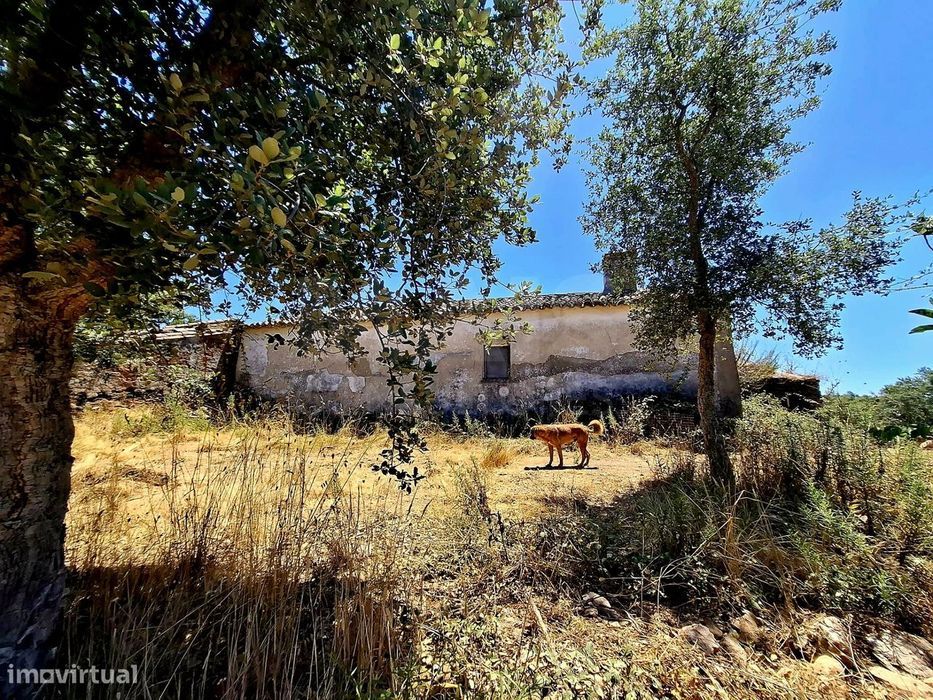 Herdade com 73,7 hectares em Relíquias, Odemira