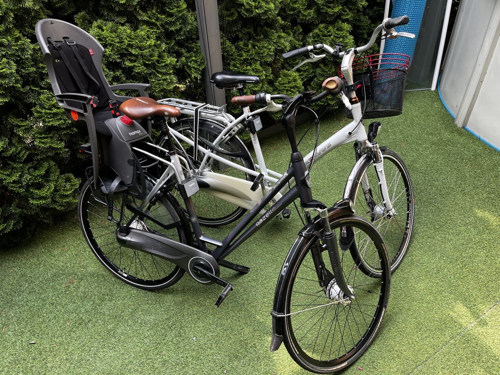 Gazelle eclipse jak nowy