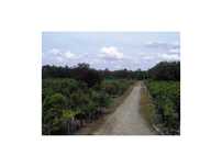 Quinta T4 - Tocha