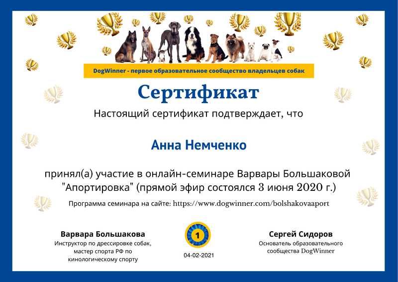 Дресирування Школа цуценя. Зоопсихолог. Свій зал!