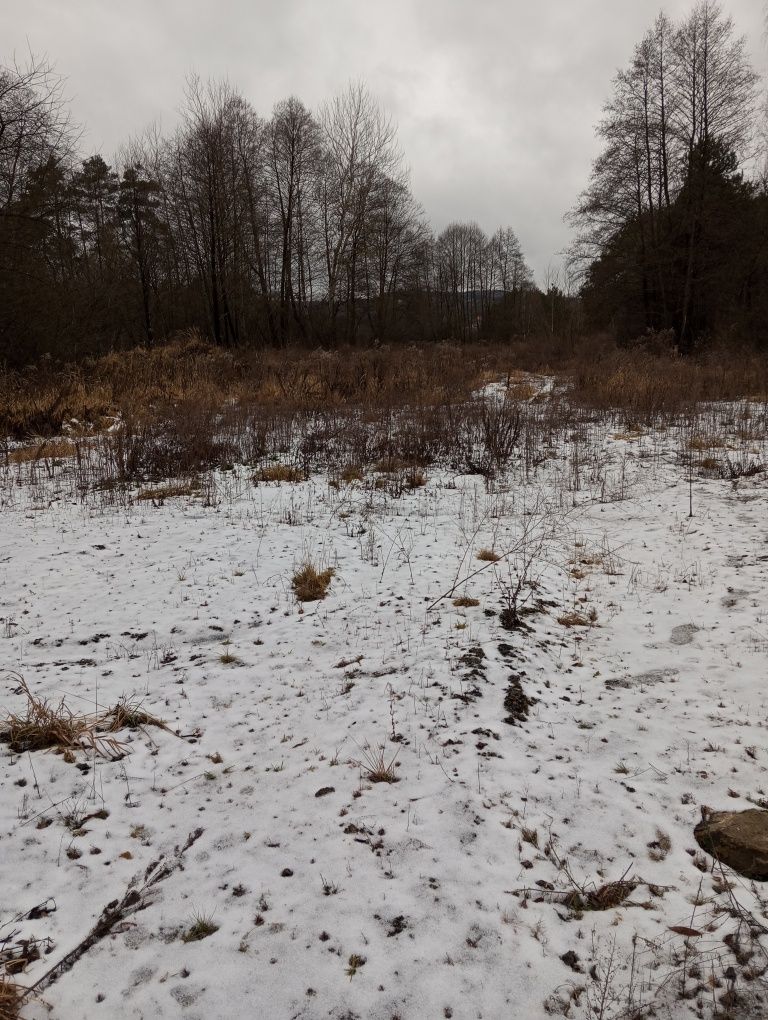 Działka utwardzona/plac pod park maszynowy/S74