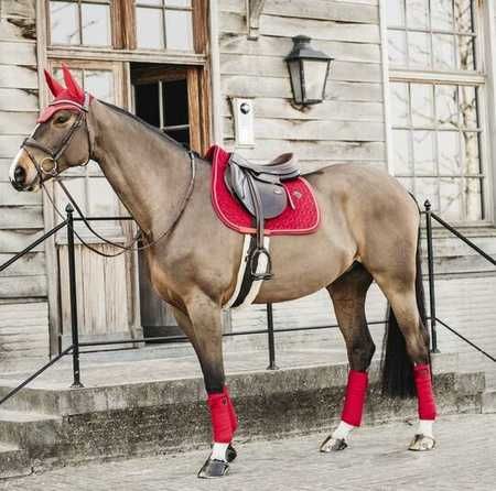 Czaprak Velvet red COB KENTUCKY