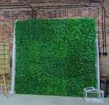 Duża ŚCIANKA do zdjęć 240 cm x 240 cm