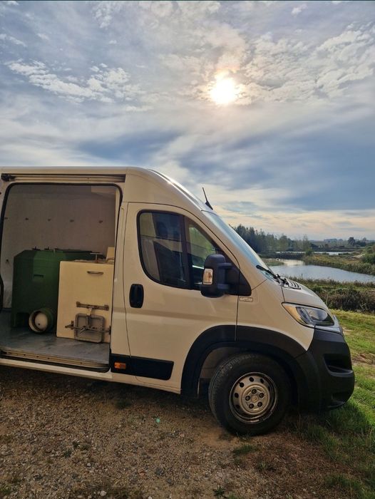 Sandacz kroczek 17-21 cm inne Karp Jesiotr lin Karaś Tołpyga Pstrąg