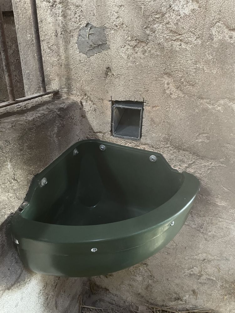 Alimentador automatico para Cavalo/Cão/Gato