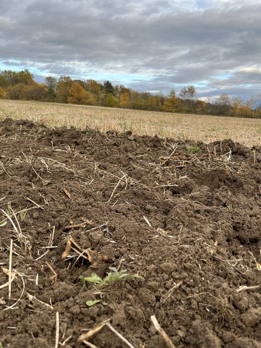 Продам Дискову борону