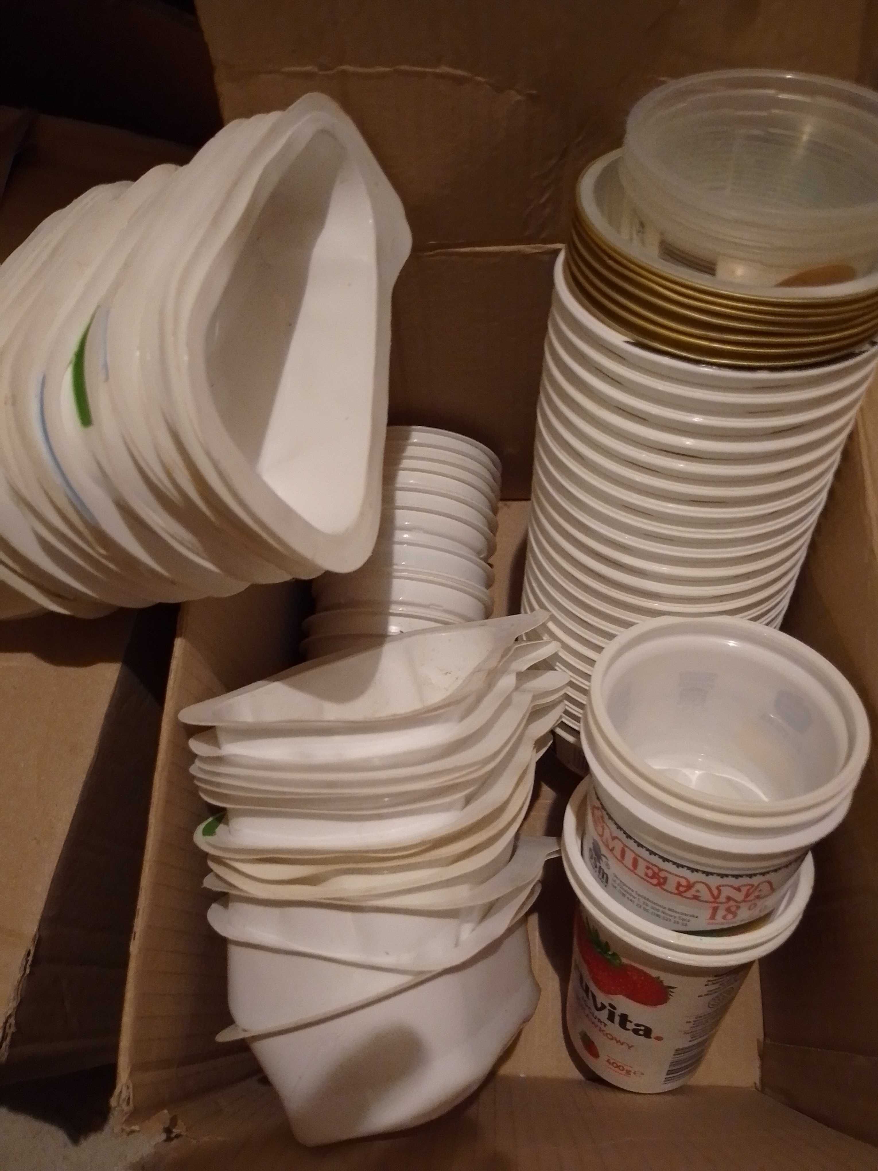 Plastikowe pojemniki - 100 sztuk