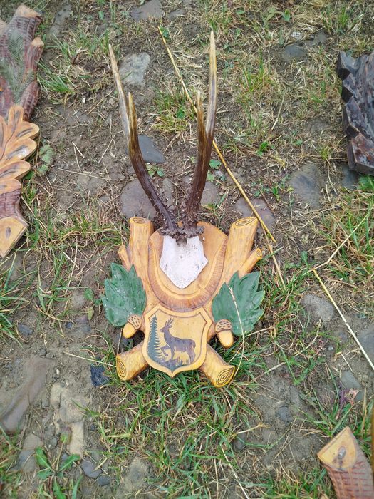 Продам рога на підставках