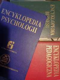 encyklopedia biznesu, encyklopedia pedagogiki, encyklopedia psychologi