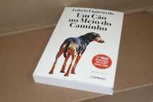 Livro - Um Cão no Meio do Caminho