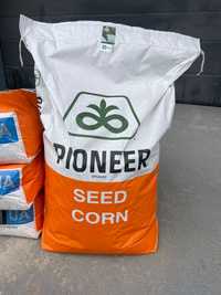 Насіння кукурудзи Піонер pioneer 8816 9074 8307