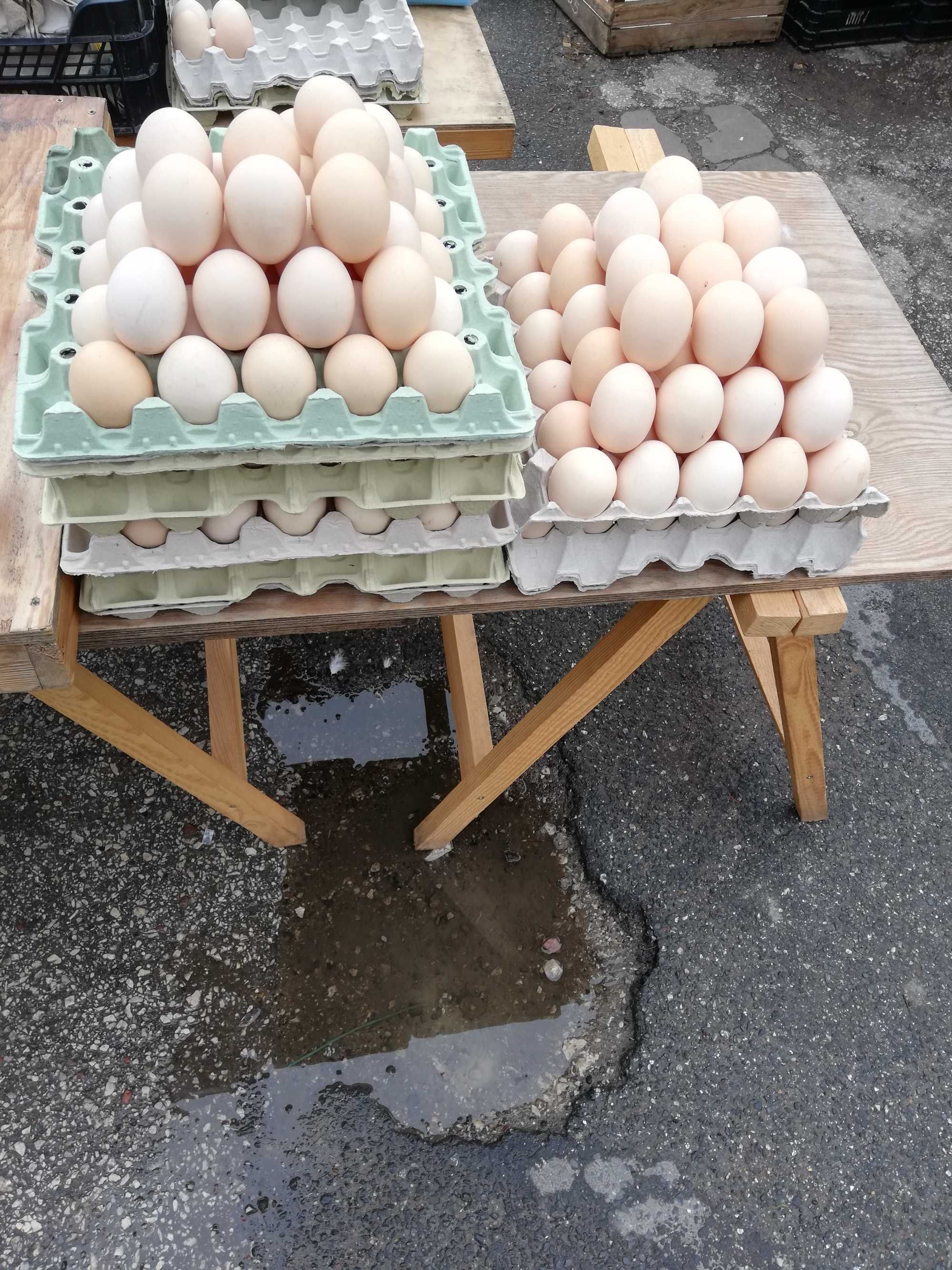 Świeże jajka z dostawą