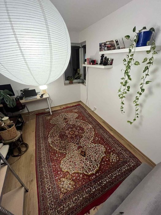 Dywan produkcji polskiej 250x180