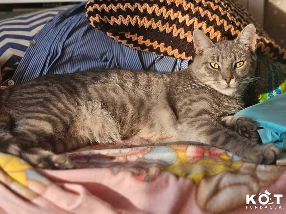 Krystian i Grey szukają wspólnego domu!