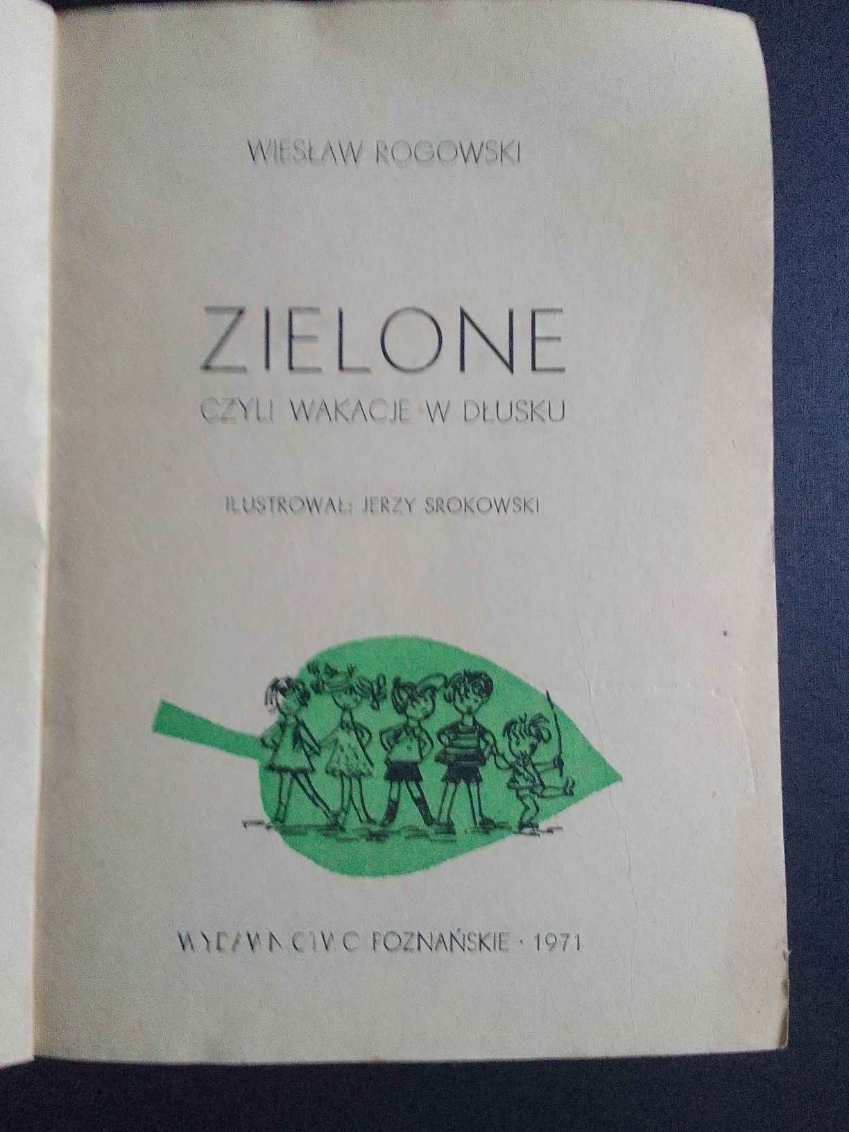 Zielone czyli wakacje w Dłusku, W. Rogowski
