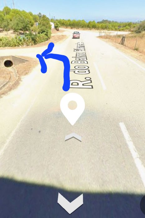 Terreno rustico isolado para venda castelo branco  (Benquerenças)