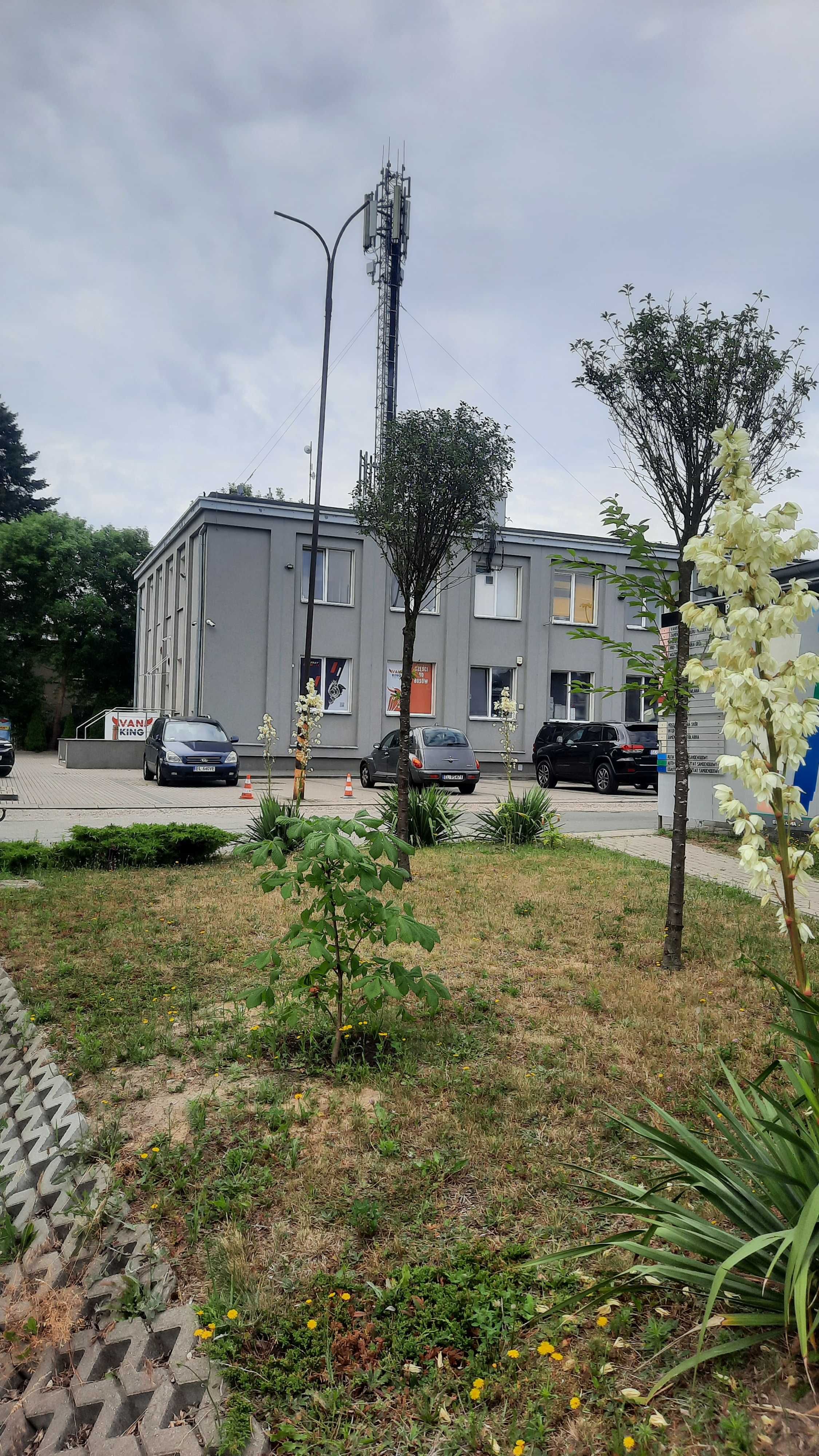 BIURO 42m2  Bezpośrednio