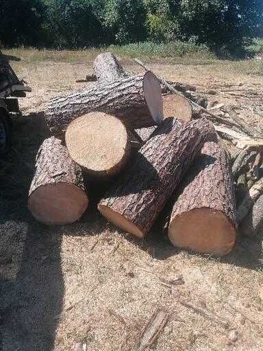 Drewno opałowe sosnowe 800 zł za 5 metrów.