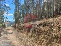 Terreno florestal, Marrancos