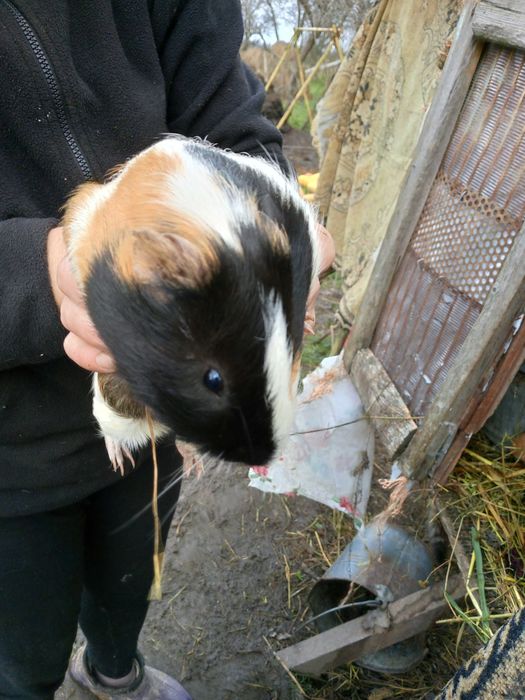 Техно спарк у гарантії