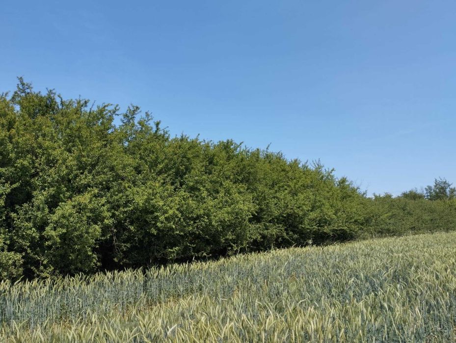 Tarnina do tężni Różne DLUGOSCI I ŚREDNICE hUrt