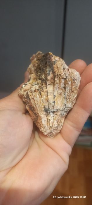 Minerały skamieniałości baryt, goethyt