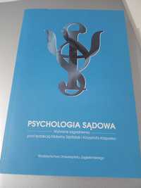 Psychologia sądowa Wybrane zagadnienia Szpitalak, Kasparek