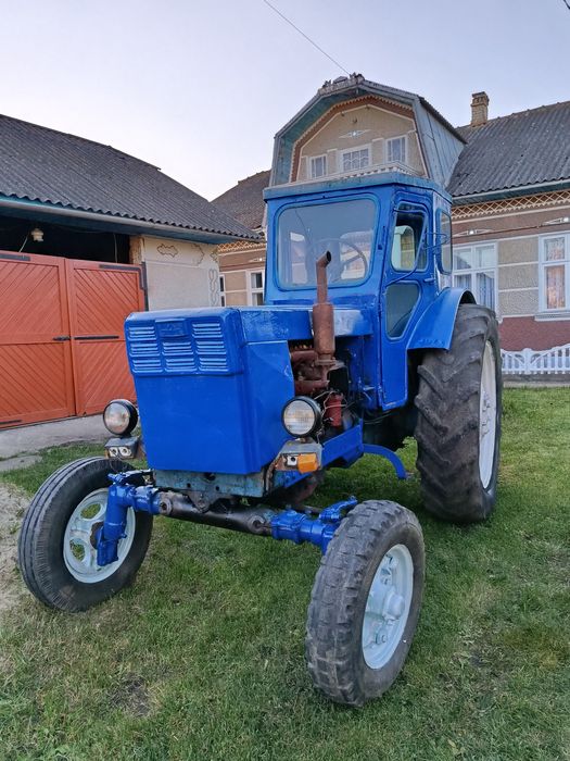 Продам робочого коника