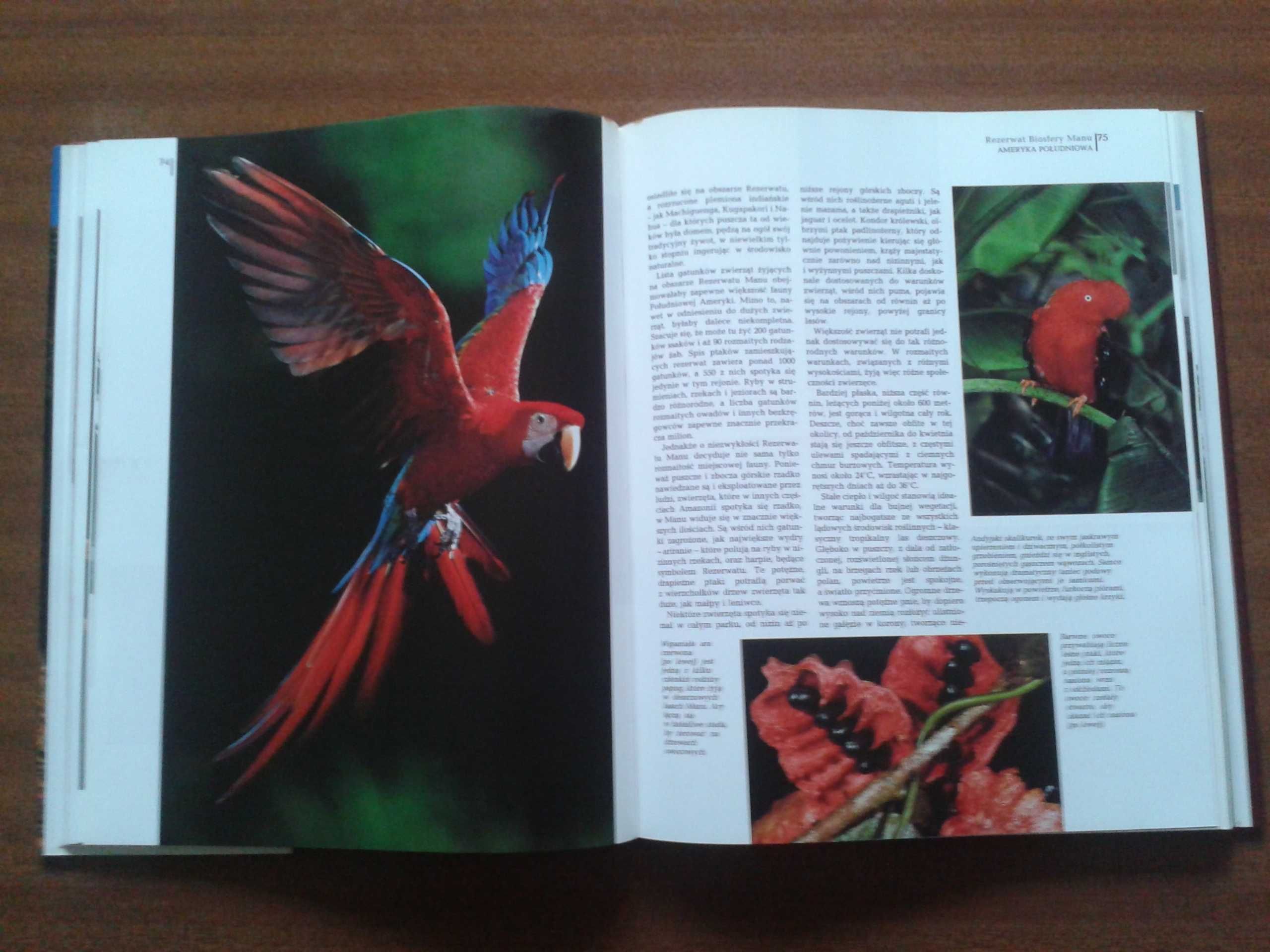 2 książki: Królestwo dzikiej przyrody + Wielka księga zwierząt