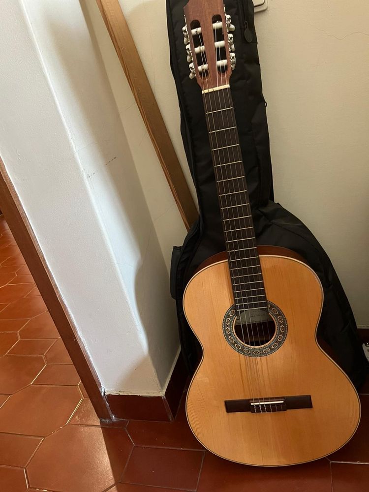Viola Semi / Nova