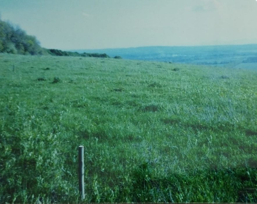 Продається приватизована земельна ділянка 17 сот.