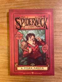 A Pedra Mágica - As Crónicas de Spiderwick (portes grátis)