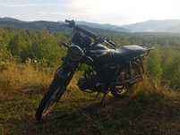 Мустанг дінго 125