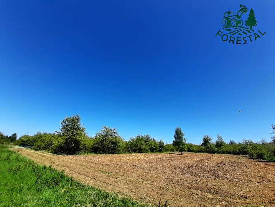 Wycinka / Czyszczenie działek / Mulczowanie / Mulczer / FORESTAL